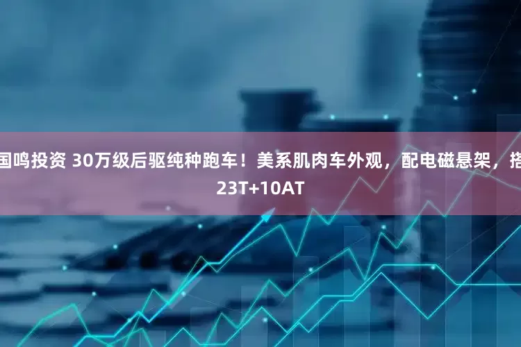 国鸣投资 30万级后驱纯种跑车！美系肌肉车外观，配电磁悬架，搭23T+10AT